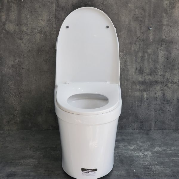 Bồn Cầu Một Khối Kante KT-8861 - Ảnh 4