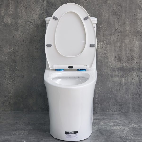 Bồn Cầu Một Khối Kante KT-8865 - Ảnh 3