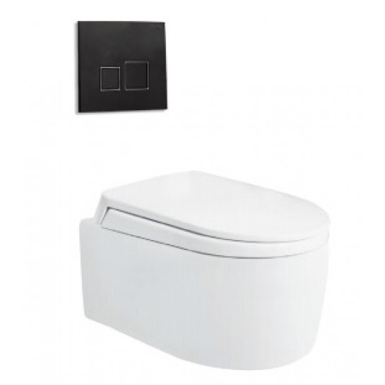 Bồn cầu két âm Viglacera V55