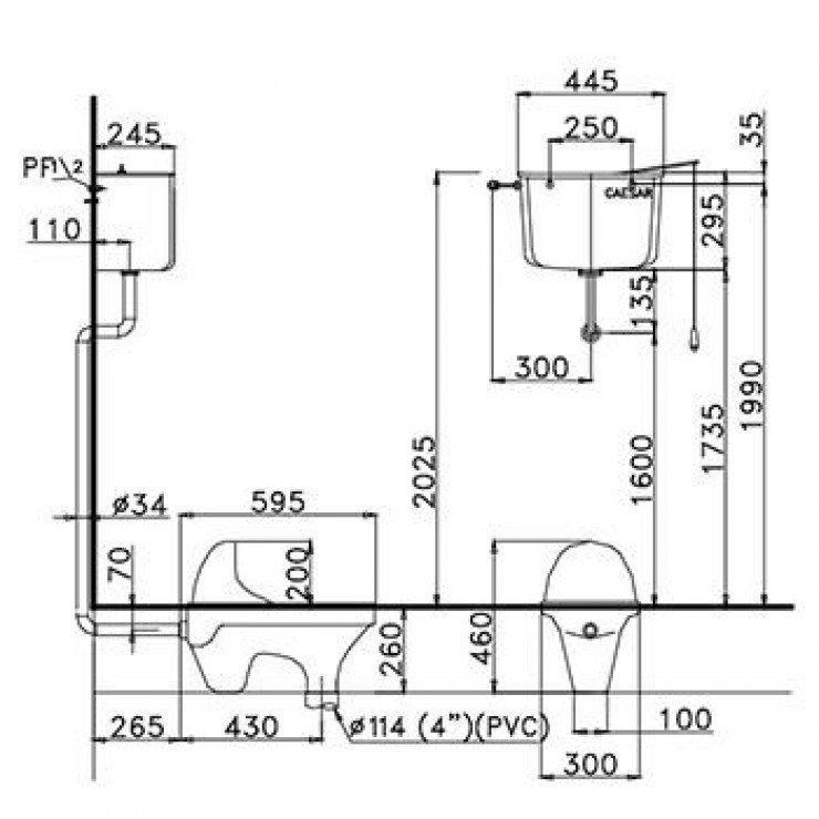 Bồn Cầu Xổm Caesar CS1230 Có Két Nước T1100