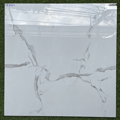 Gạch lát nền giá rẻ 80×80 Viglacera TB8991