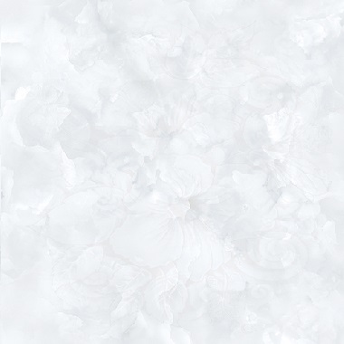 Gạch Prime 60x60 15623