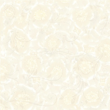 Gạch Prime 60x60 9001