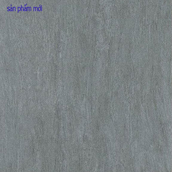 Gạch Taicera 60×60 G68988