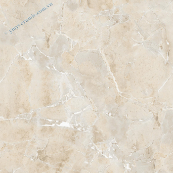 Gạch Ý Mỹ 60x60 N68027C