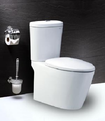 Bồn cầu Caesar CD1348 nắp êm