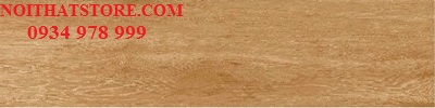 Gạch giả gỗ 15×60 Viglacera GT15601