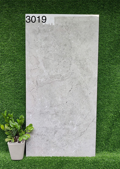 Gạch 60×120 Ấn Độ 3019