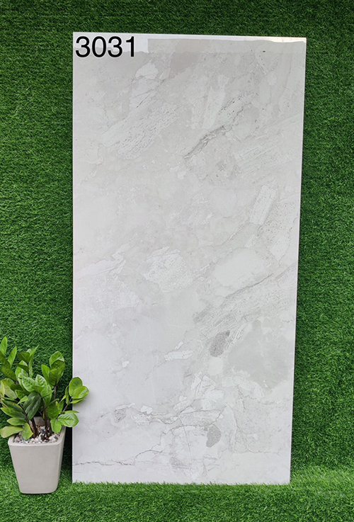 Gạch 60x120 Ấn Độ 3031