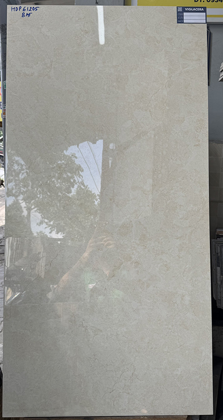 Gạch 60x120 Viglacera HDP61205