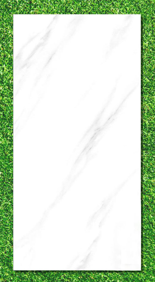 Gạch Ấn Độ 80x160 VA-BL816.24