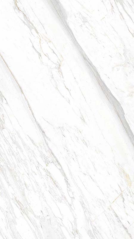 Gạch Eurotile 60x120 SIG P61201