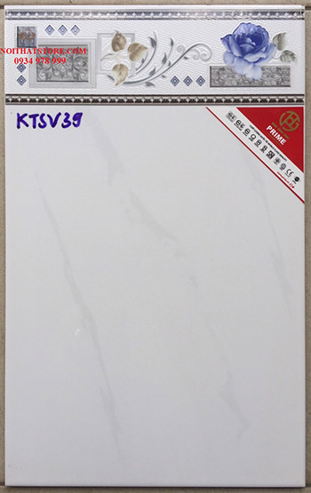 Gạch giá rẻ 25×40 KTSV39