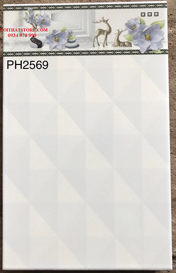 Gạch giá rẻ 25×40 PH2569