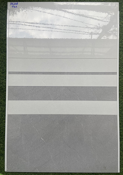 Gạch ốp tường giá rẻ 300×600 TQA-36203
