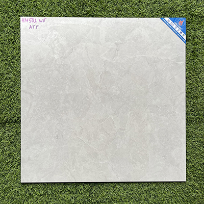 Gạch lát nền 50x50 Viglacera HM501