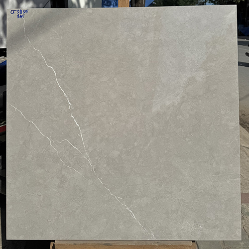 Gạch lát nền Á Mỹ 80x80 CT3835
