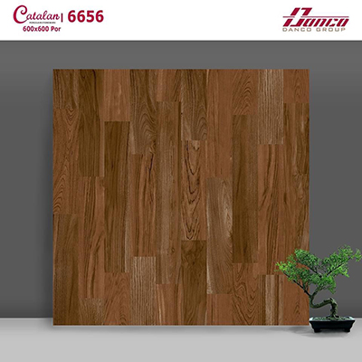 Gạch lát nền Catalan 60x60 6656 mờ