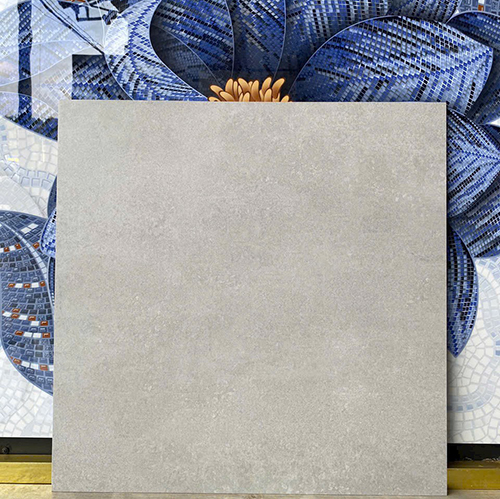 Gạch lát nền Hoàng Gia 60x60 H6602N mờ