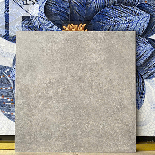 Gạch lát nền Hoàng Gia 60x60 Y6603N mờ
