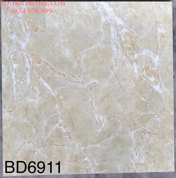 Gạch lát nền Tasa 60×60 BD6911