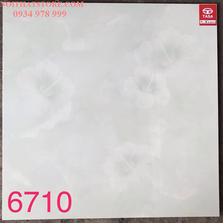 Gạch lát nền Tasa 60×60 SA6710