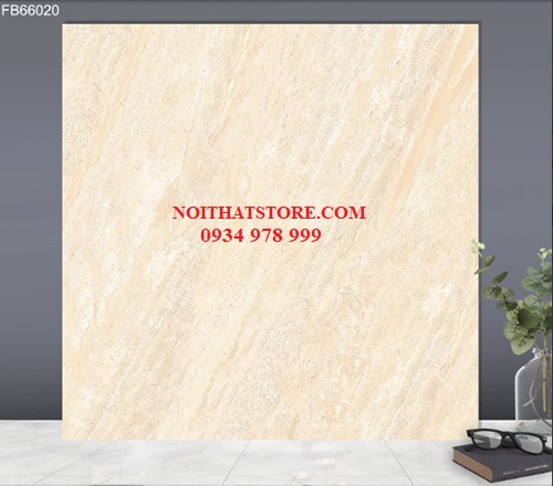 Gạch lát nền TTC 60x60 FB66020