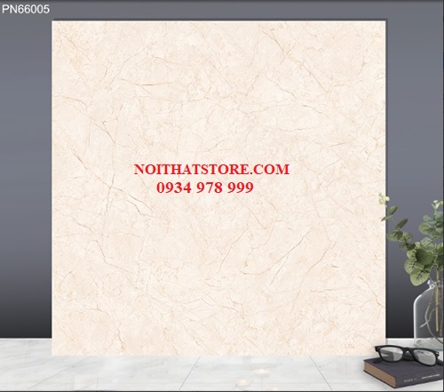Gạch lát nền TTC 60x60 PN66005