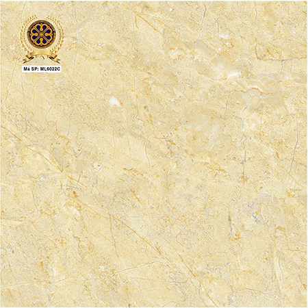 Gạch lát nền Vicenza 60x60 ML 6022C