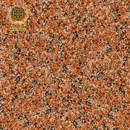 Gạch lát nền Vicenza 60×60 VC 6621C