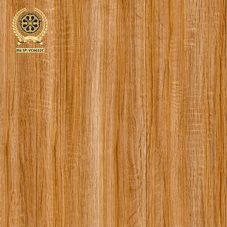Gạch lát nền Vicenza 60×60 VC 6622C
