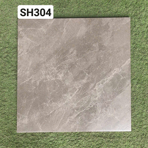 Gạch lát nền Viglacera 30x30 SH304