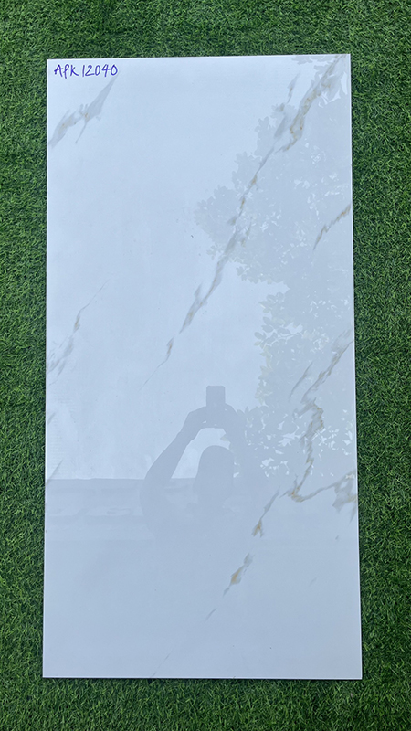 Gạch ốp lát Ấn Độ 60×120 APK12040
