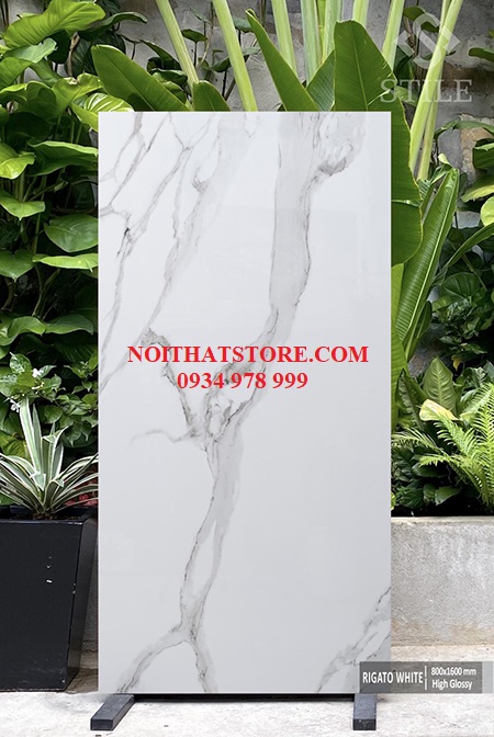 Gạch ốp lát Ấn Độ 80×160 trắng vân xám
