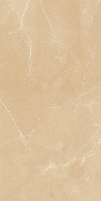 Gạch ốp lát Apodio 60×120 61182048