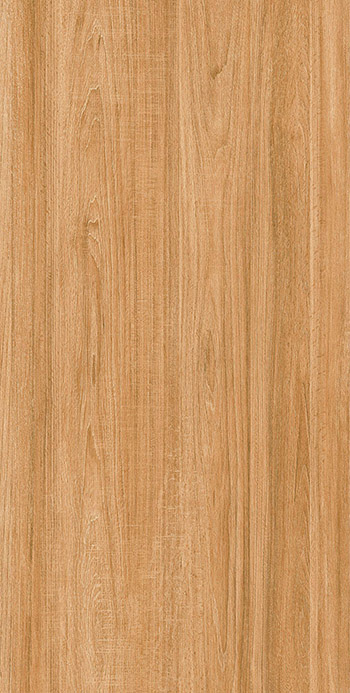 Gạch ốp lát Apodio 60×120 61332009