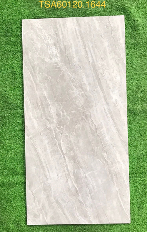 Gạch ốp lát Tasa 60x120 bóng TSA 1644