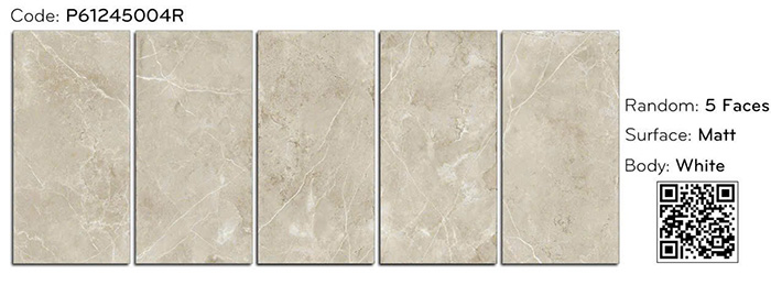 Gạch ốp lát Ý Mỹ 60×120 mờ P61245004R