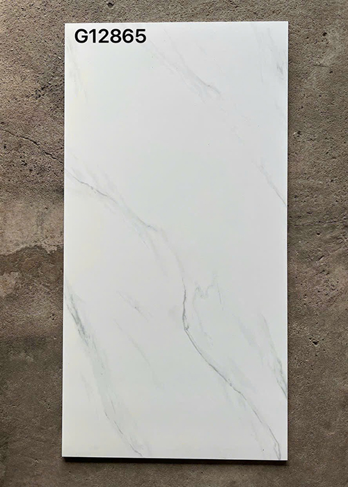 Gạch ốp lát Taicera 60×120 mờ G12865