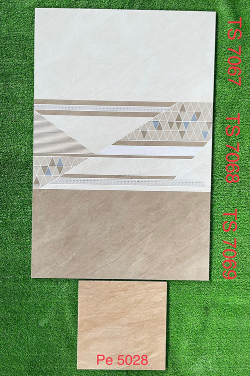 Gạch ốp tường 30×60 Tasa mờ TS7067-703-68-7069
