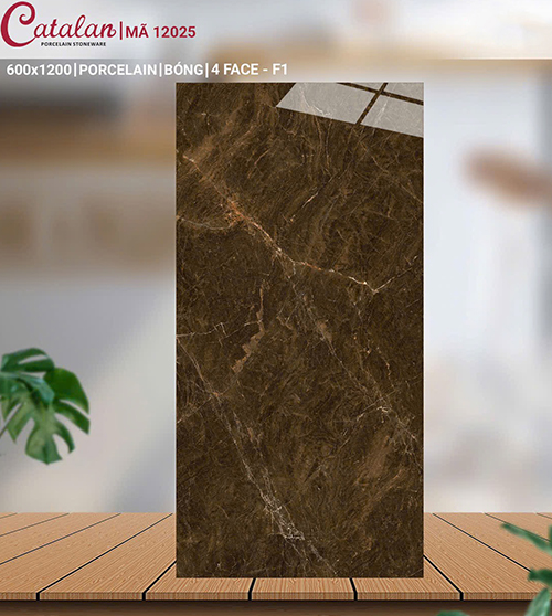 Gạch ốp tường lát nền Catalan 60×120 12025