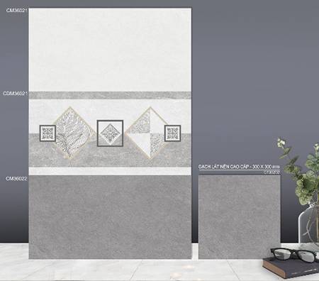 Gạch ốp tường TTC 30x60 CM33021-CM33022
