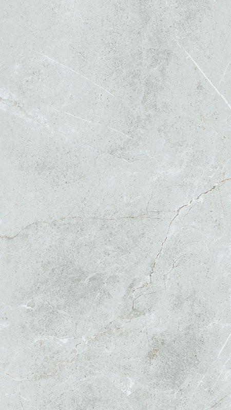 Gạch Taicera 60×120 mờ G12848