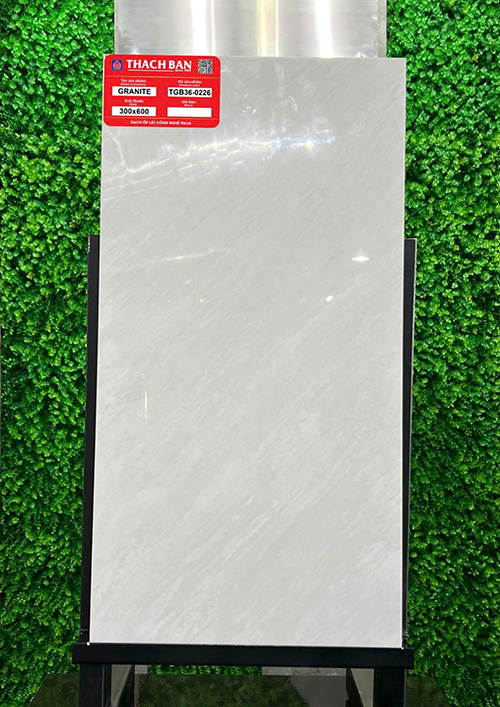 Gạch Thạch bàn 30x60 TGB36-0226