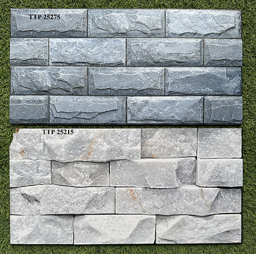 Gạch trang trí 25×50 giá rẻ men mờ TTP25275-25215