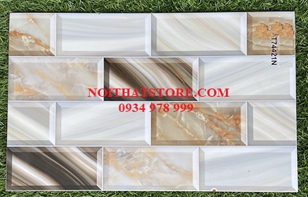 Gạch trang trí giá rẻ 25×40 T74421N