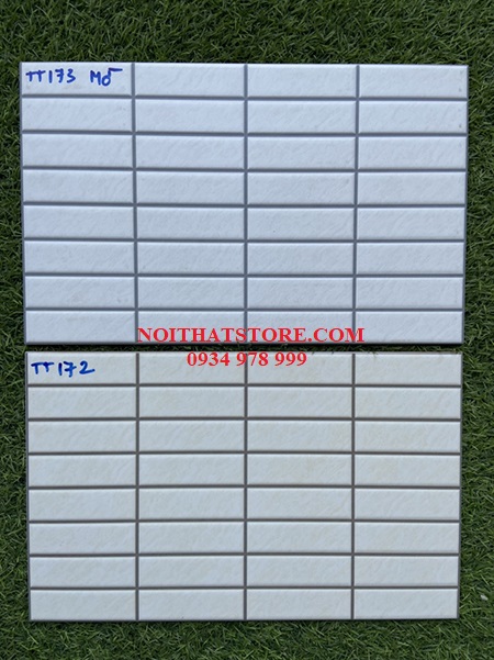 Gạch trang trí giá rẻ 25×40 TT172-173