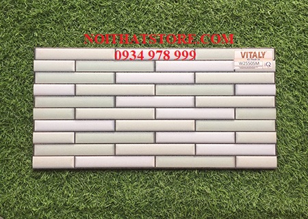 Gạch trang trí giá rẻ 25×50 W25505M