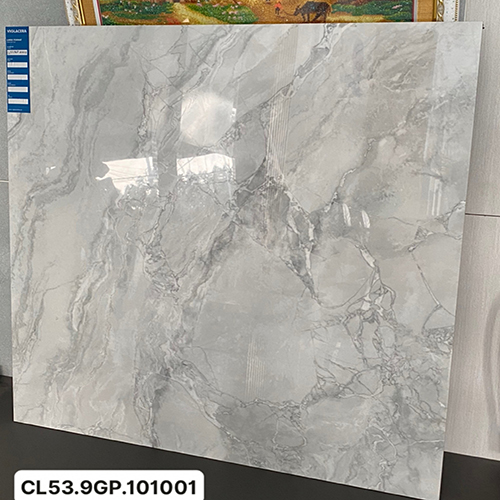 Gạch Viglacera 100×100 CL53-9GP101001