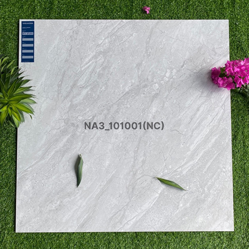 Gạch Viglacera 100×100 NA3-101001
